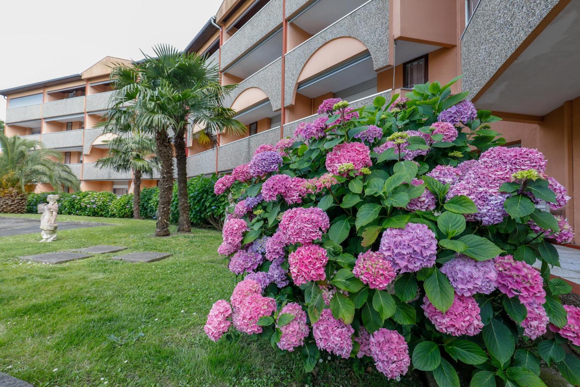 Les Terrasses De Borda*** Hotel Dax Bagian luar foto